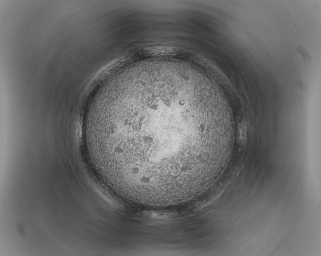 X0000113780733200910071223