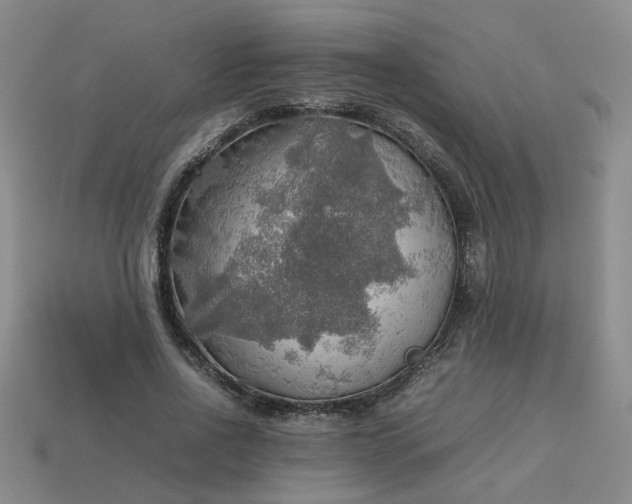 X0000113780734200910071223