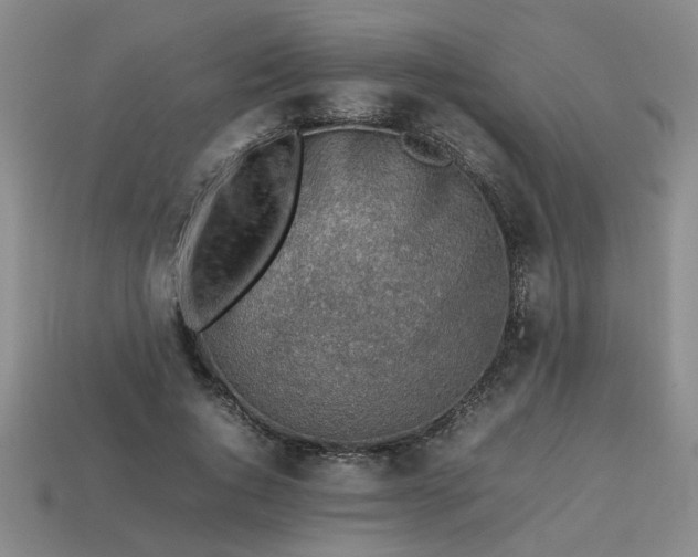 X0000113780736200910071223