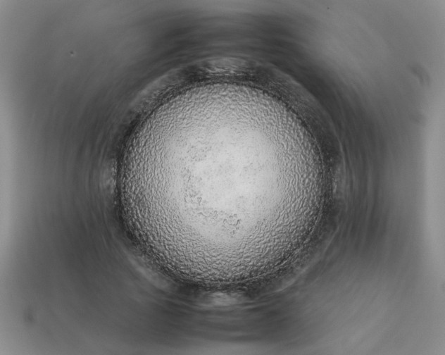 X0000113780737200910071223