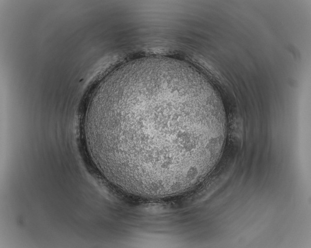 X0000113780738200910071223