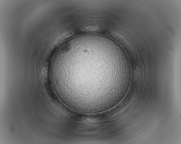 X0000113780739200910071223