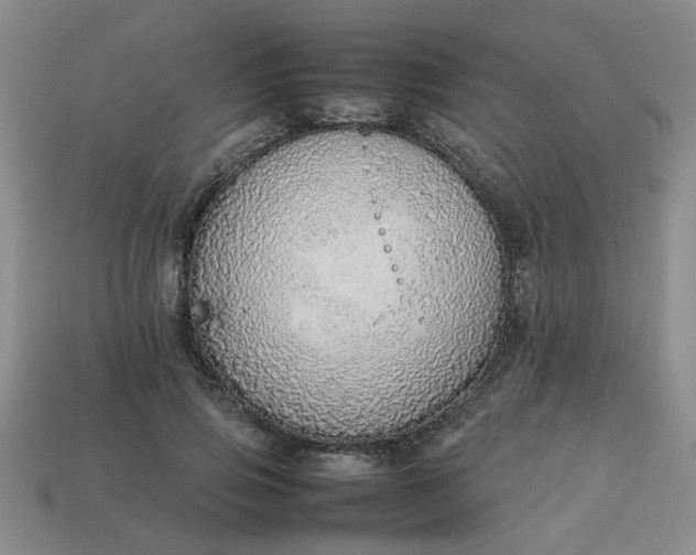 X0000113780741200910071223