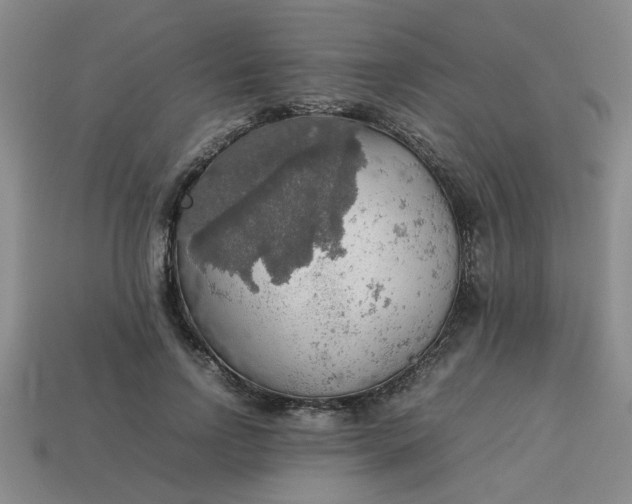 X0000113780742200910071223