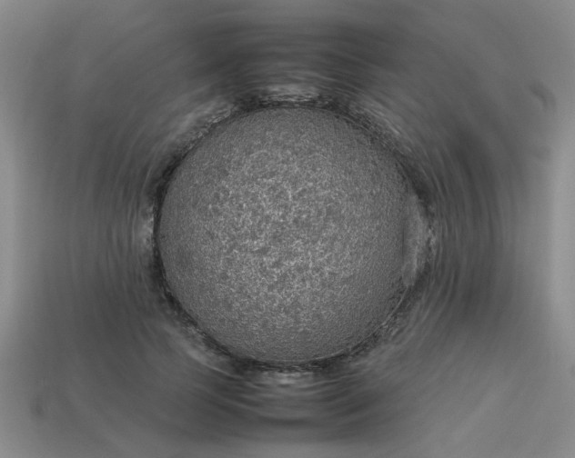 X0000113780745200910071223