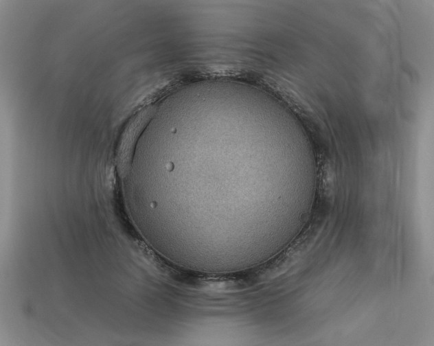 X0000113780746200910071223