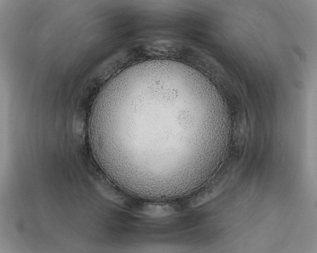 X0000113780749200910071223