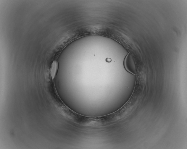 X0000113780750200910071223