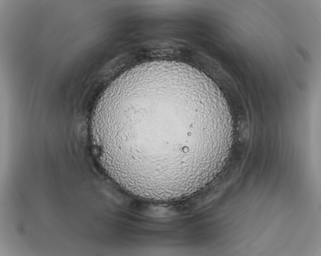 X0000113780753200910071224