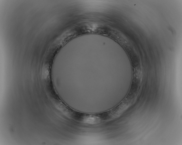 X0000113780754200910071224