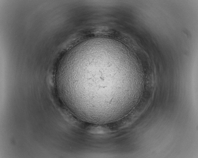 X0000113780755200910071224