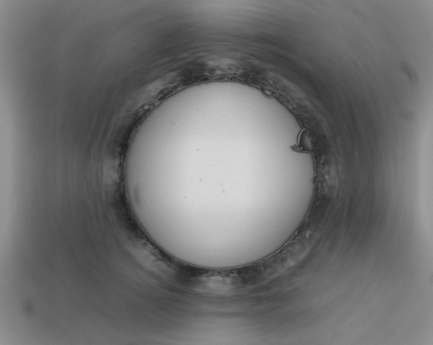 X0000113780756200910071224