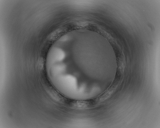 X0000113780758200910071224