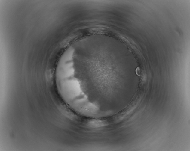 X0000113780759200910071224