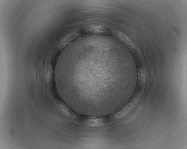 X0000113780760200910071224