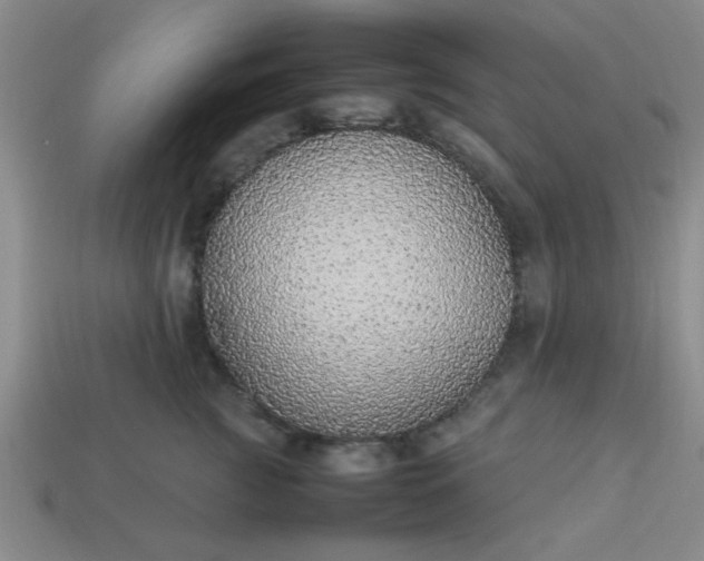 X0000113780761200910071224