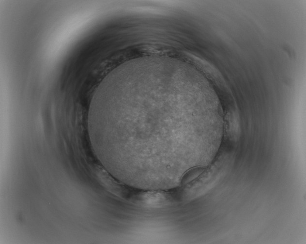 X0000113780762200910071224