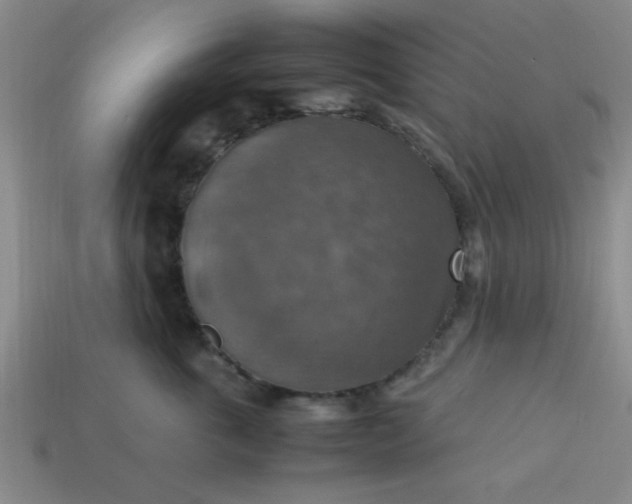 X0000113780763200910071224