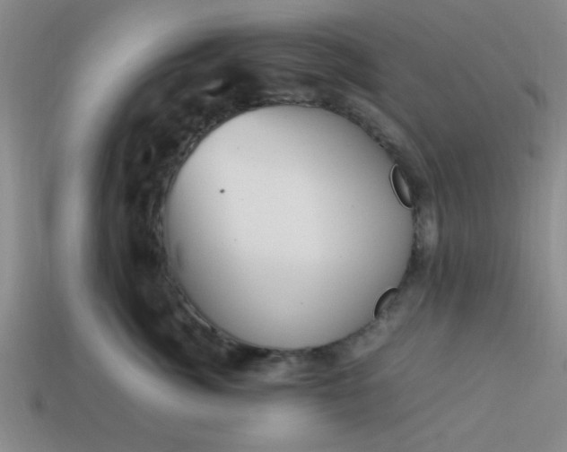 X0000113780764200910071224