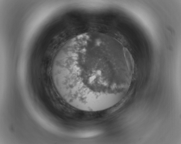 X0000113780765200910071224