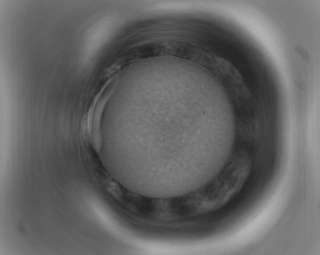 X0000113780766200910071224