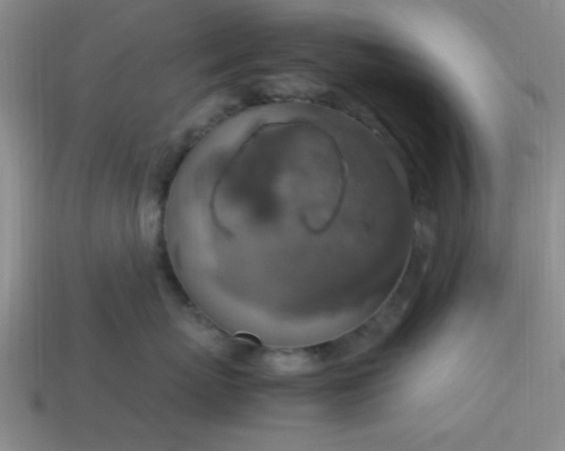 X0000113780767200910071224