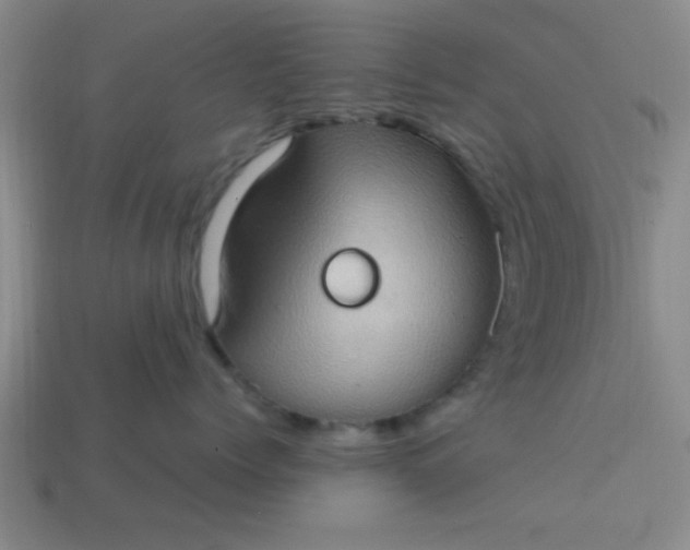 X0000113780768200910071224