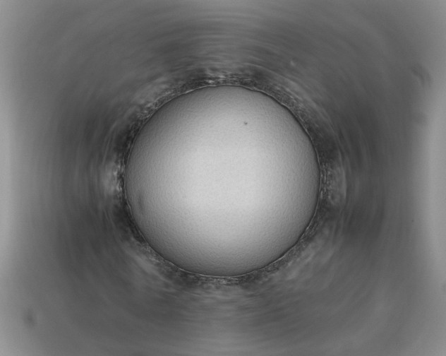 X0000113780770200910071223