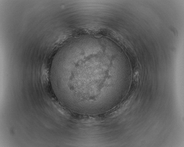 X0000113780772200910071223