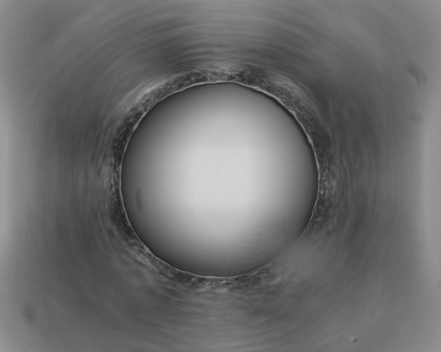 X0000113780773200910071223