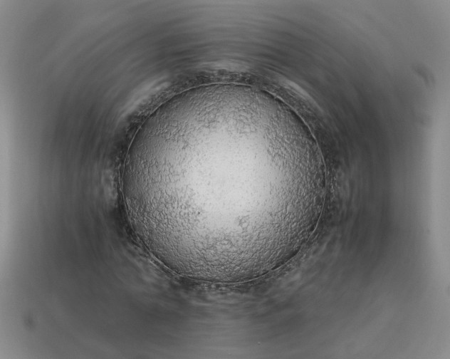 X0000113780774200910071223