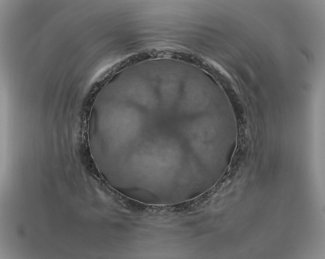 X0000113780775200910071223