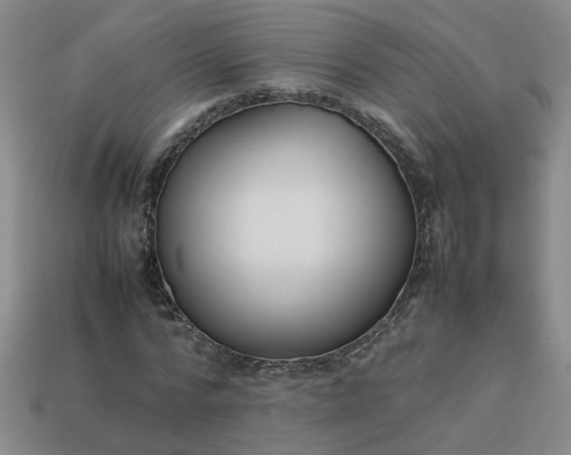 X0000113780776200910071223