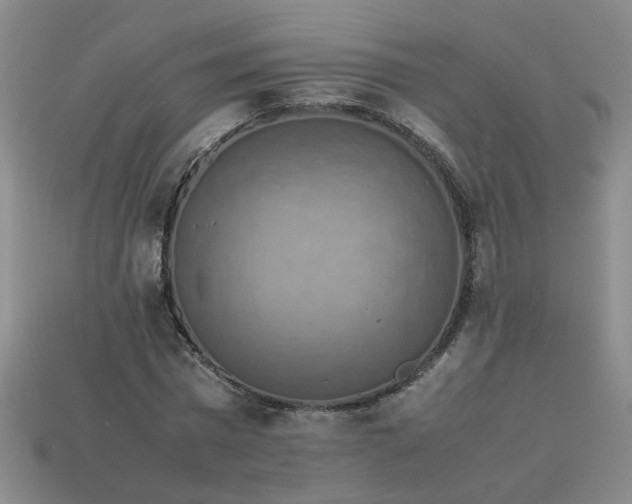 X0000113780777200910071223