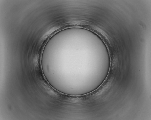 X0000113780778200910071223