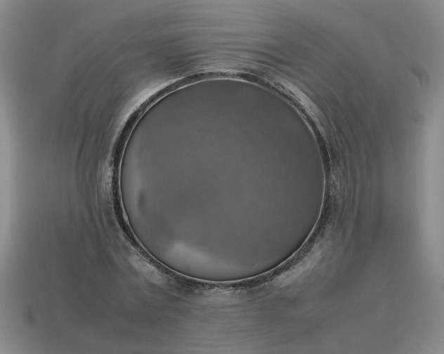 X0000113780779200910071223