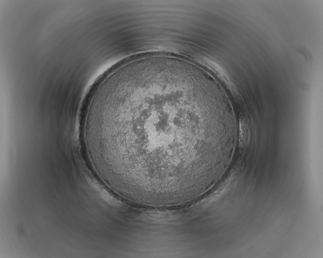 X0000113780780200910071223