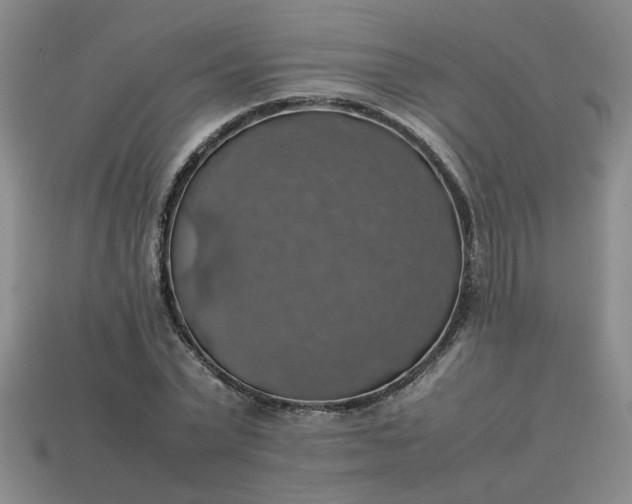 X0000113780783200910071223