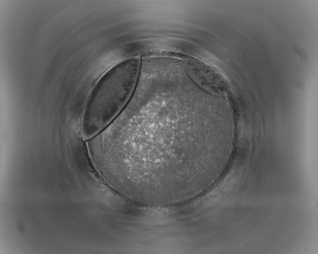 X0000113780785200910071223