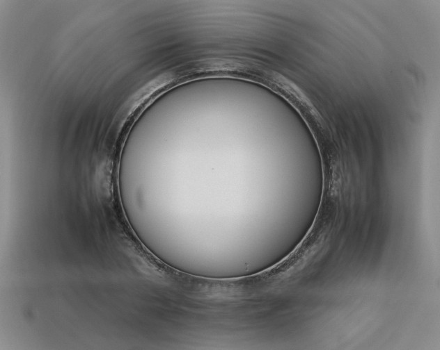 X0000113780786200910071223