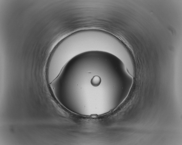 X0000113780789200910071223