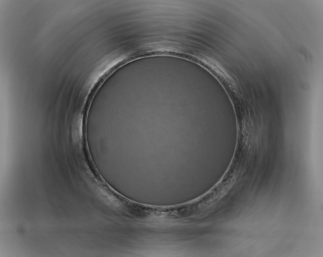 X0000113780790200910071223