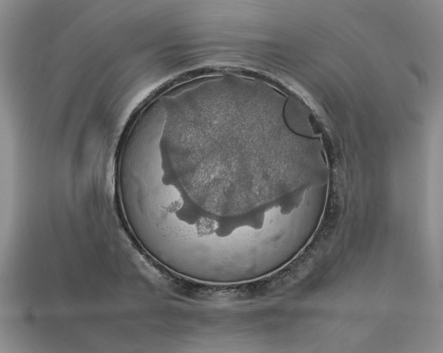 X0000113780791200910071223