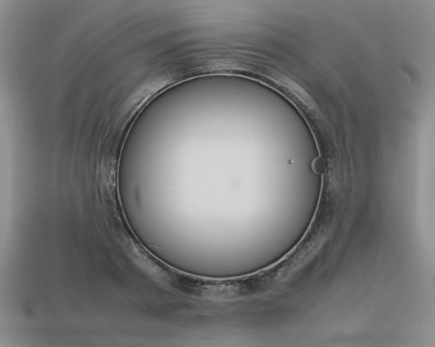 X0000113780793200910071223