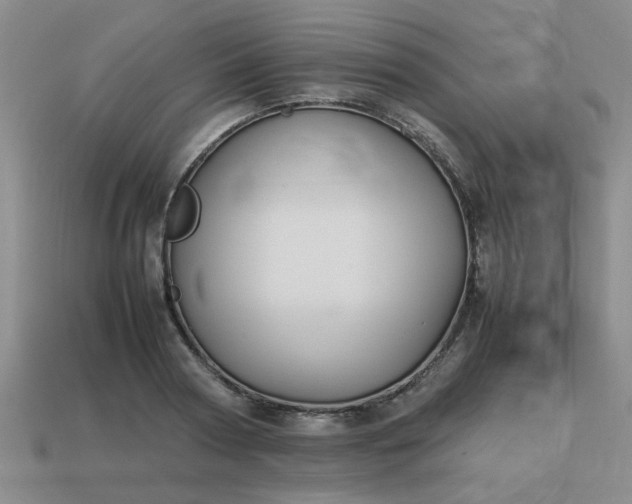 X0000113780794200910071223