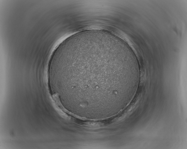 X0000113780795200910071223