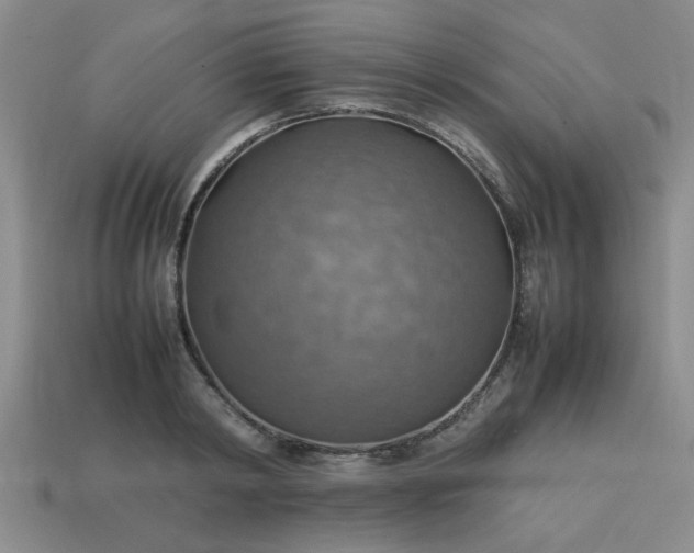 X0000113780798200910071223