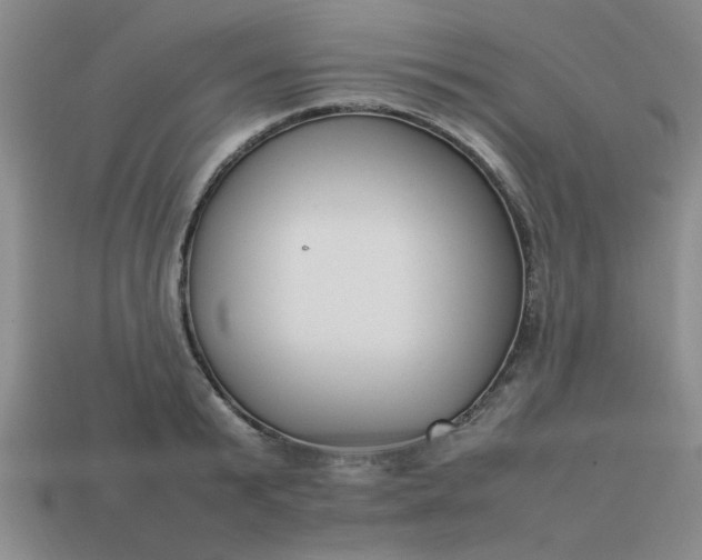 X0000113780799200910071223