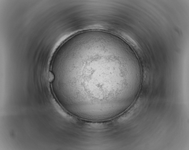 X0000113780800200910071223