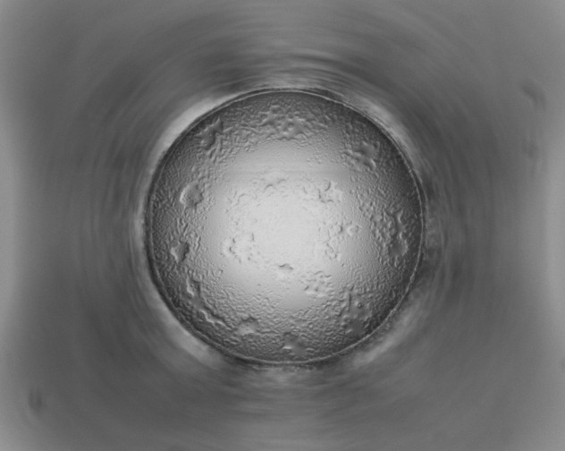 X0000113780803200910071223